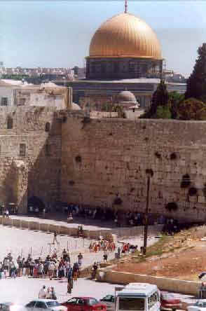 professional Hebrew translation services,professional hebrew translation,professional certified translations,translate legal documents,ins,hebrew to english translations,english to hebrew translations
